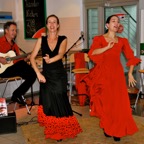 Flamencogruppe